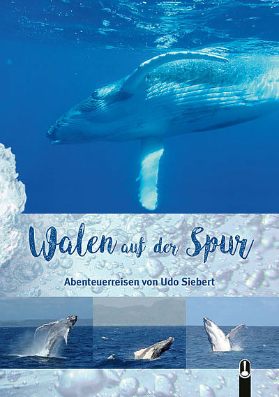 Buch „Walen auf der Spur. Abenteuerreisen“ von Udo Siebert, Hille Verlag, Dresden